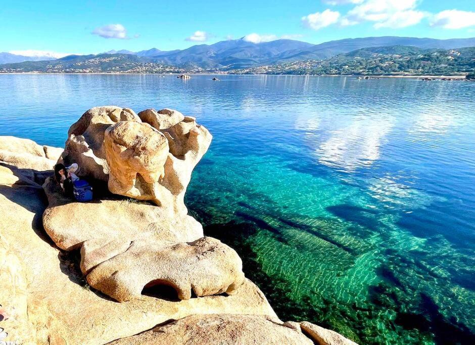 Villa Proche Ajaccio Et Mer Exclusive 2 A 10 Voyageurs Bastelicaccia Экстерьер фото
