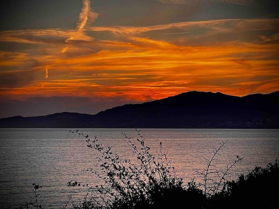 Villa Proche Ajaccio Et Mer Exclusive 2 A 10 Voyageurs Bastelicaccia Экстерьер фото